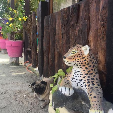 Hotel Hacienda La Catrina Holbox Eksteriør billede