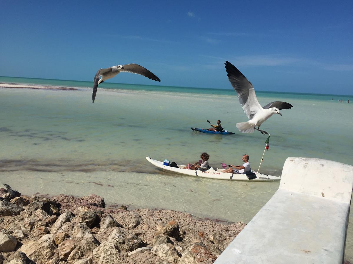 Hotel Hacienda La Catrina Holbox Eksteriør billede