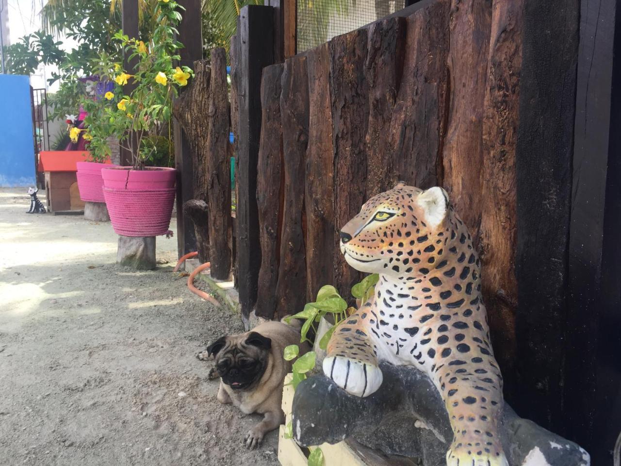 Hotel Hacienda La Catrina Holbox Eksteriør billede